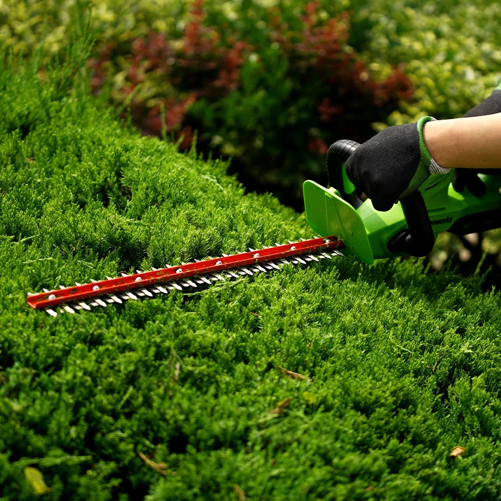 Photo du taille-haie Greenworks G40HT61 40 V – 61 cm
